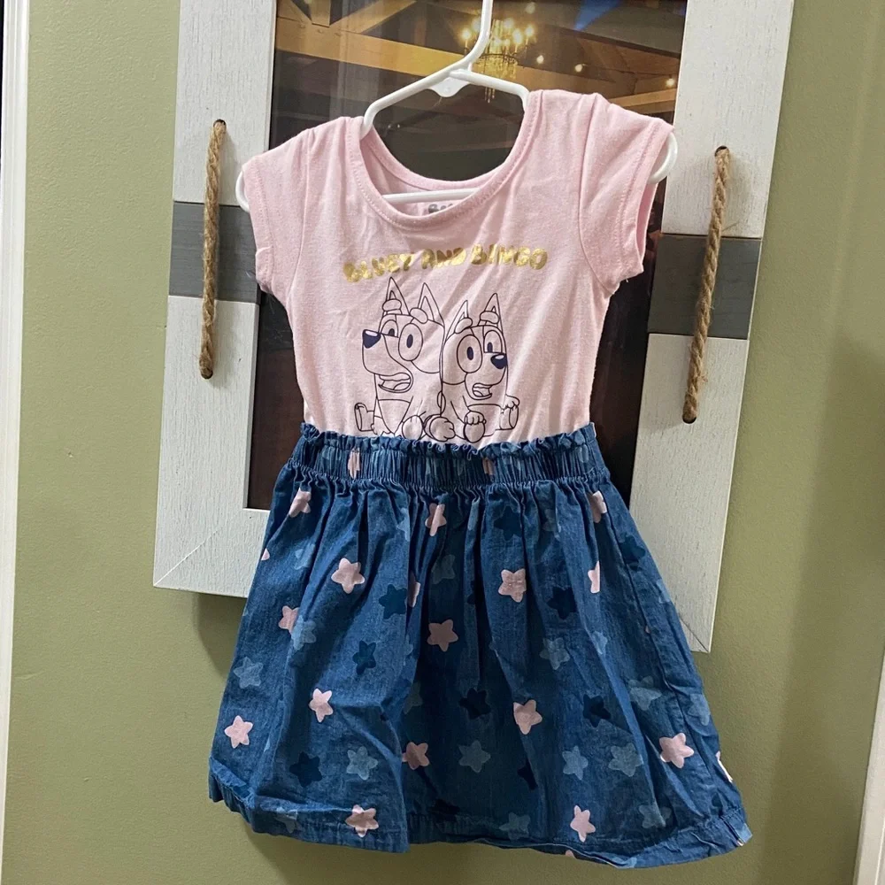 Pink and Blue Bluey and Bingo dress